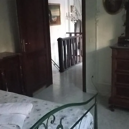 Domus Garden אולביה