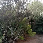 فندق مبيت وإفطار Domus Garden