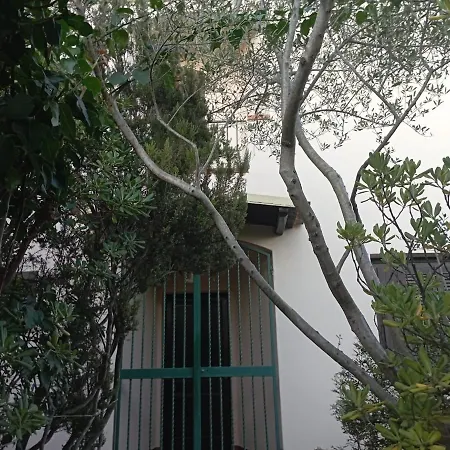 Domus Garden Olbia