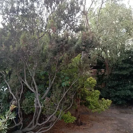 Oda ve Kahvaltı Domus Garden