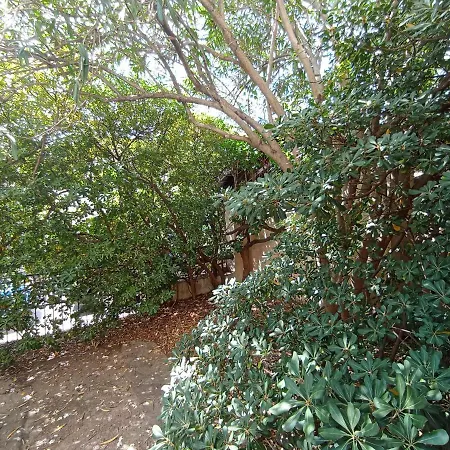 Domus Garden