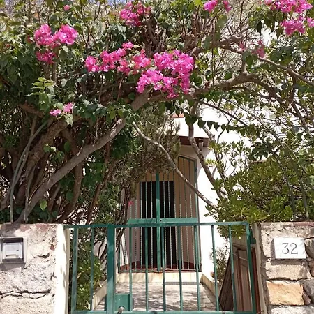 Domus Garden *