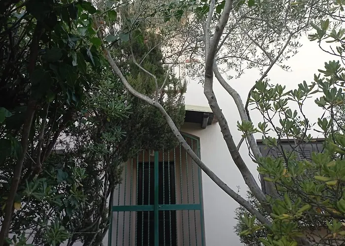 Domus Garden 奧爾比亞