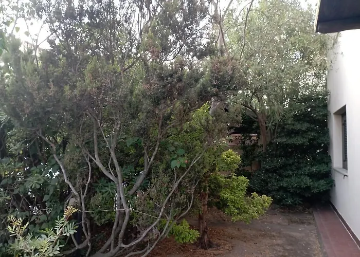 فندق مبيت وإفطار Domus Garden